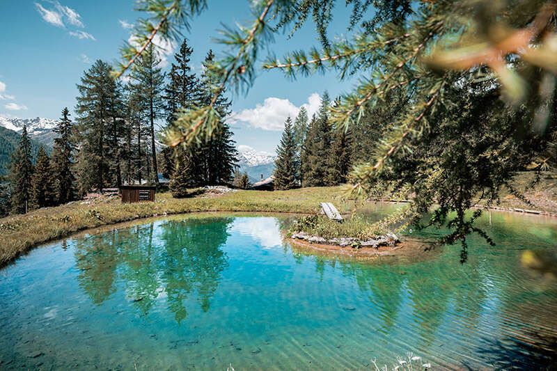 Fritz Hütte im Sommer